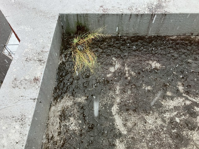 特に注意が必要なパラペット